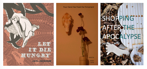 to poetry collections read in 2017