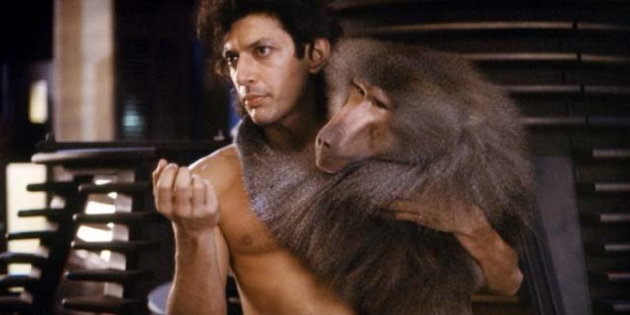 Jeff Goldblum being a babe in The Fly.